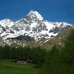Bergherz