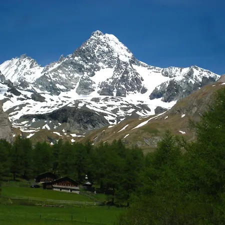 Bergherz