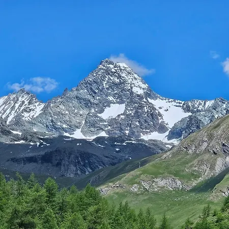 Bergherz *